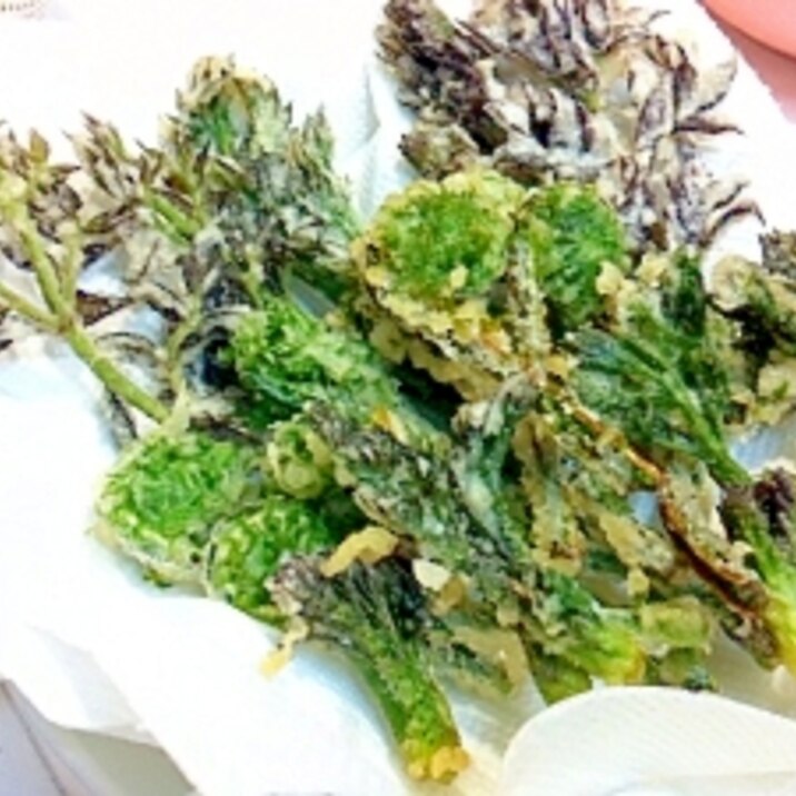 タラの芽と青コゴミの天ぷら